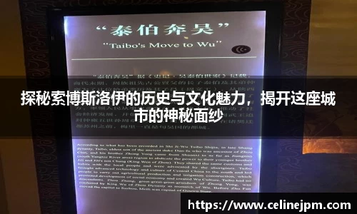 探秘索博斯洛伊的历史与文化魅力,揭开这座城市的神秘面纱